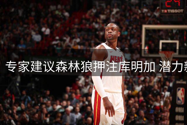 专家建议森林狼押注库明加 潜力新星有望带来质变