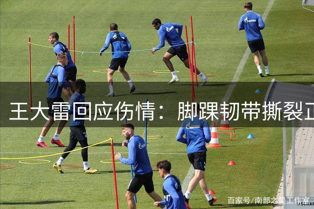 王大雷回应伤情：脚踝韧带撕裂正积极恢复